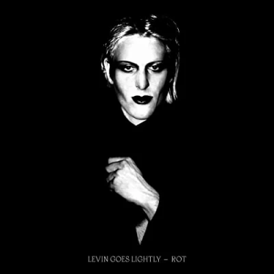 Afbeelding van Levin Goes Lightly Rot (LP)