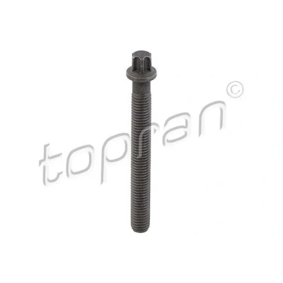 Afbeelding van TOPRAN 503 132 Riemschijfschroef BMW: 3 Saloon