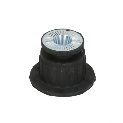 Afbeelding van REINHOCH RH19 0000 Houder, motorophanging Voor