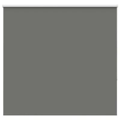 Afbeelding van vidaXL Rolgordijn verduisterend 160x150 cm stofbreedte 156,6 grijs