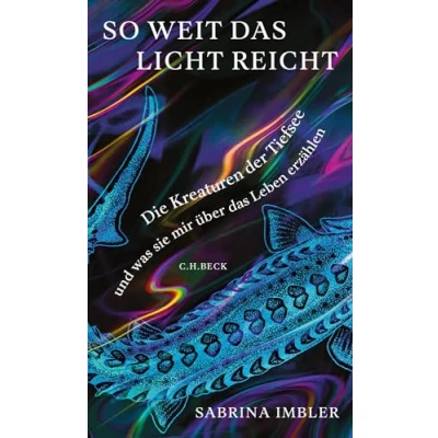 Afbeelding van So weit das Licht reicht
