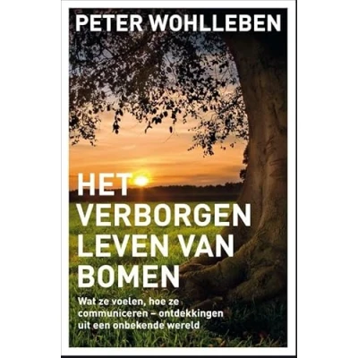 Afbeelding van Het verborgen leven van bomen
