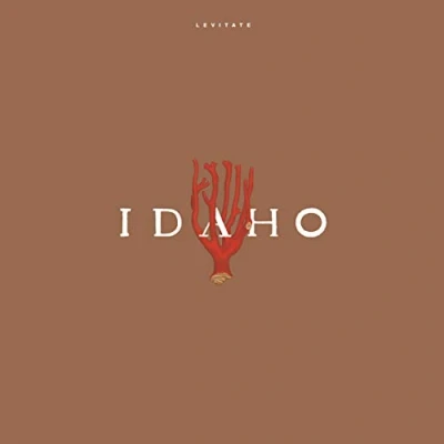 Afbeelding van Idaho Levitate