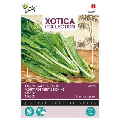 Afbeelding van Xotica amsoi mung choi Buzzy
