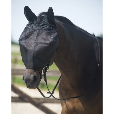Image de QHP riding fly mask with ear protection