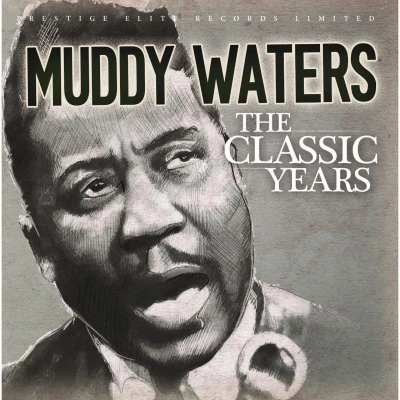 Afbeelding van Muddy Waters Classic Years (CD)