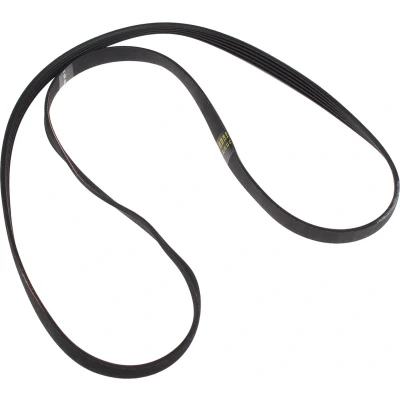 Afbeelding van Ariston Snaar poly v 1194 j5 elastisch C00144656