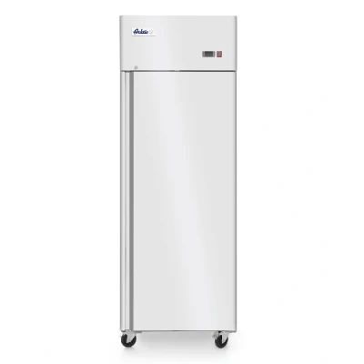 Afbeelding van Hendi Arktic Vriezer Enkele Deur Profi Line 670 Liter
