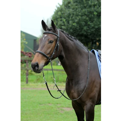 Image de Horka Bride Bitloos Noir/Argent Poney