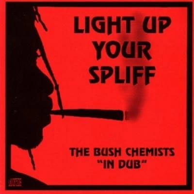 Afbeelding van Bush Chemists Light Up Your Spiff