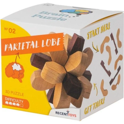 Afbeelding van Parietal Lobe, Brainpuzzel 2 Recent