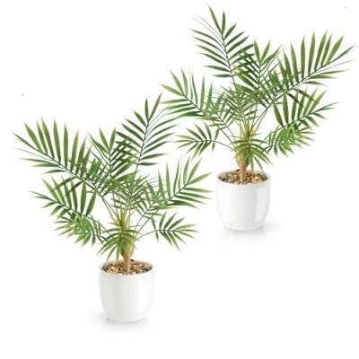 Afbeelding van PASCH® Set van 2 kunstmatige Areca palmen (35 cm) in witte keramische potten: kunstplanten zoals echte potplanten kunstplant kunstpalm kunstbloemen