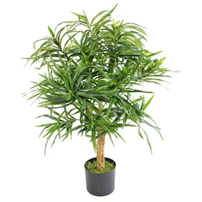 Afbeelding van Dracaena kunstboomblad, 100 cm