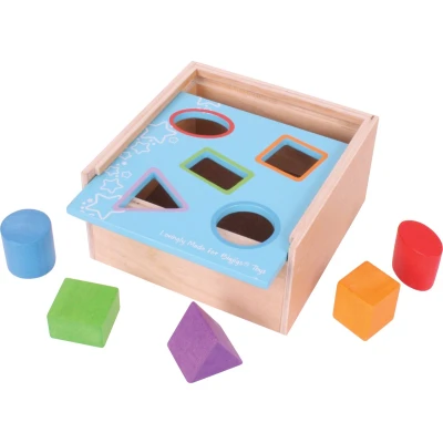 Afbeelding van Bigjigs TOYS Erster Steckkasten Blokken voor kinderen, Maat: One Size, Multi coloured