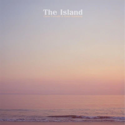 Afbeelding van Chris Forsyth The Island