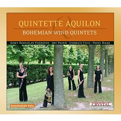 Afbeelding van Quintette Aquilon