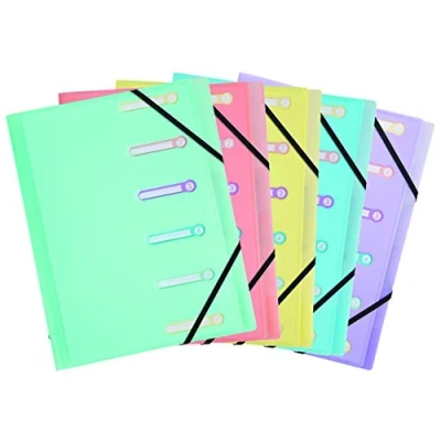 Afbeelding van Exacompta Ref 56170E sorteermap met 6 vakken, Chromaline pastelkleuren 25 x 32 cm voor A4 formaat polypropyleen transparant kleur willekeurig geselecteerd: blauw, koraal, geel, paars, groen