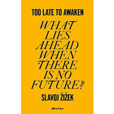Afbeelding van Too Late to Awaken