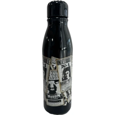 Afbeelding van Harry Potter De Ochtendprofeet Metalen Waterfles 500ml