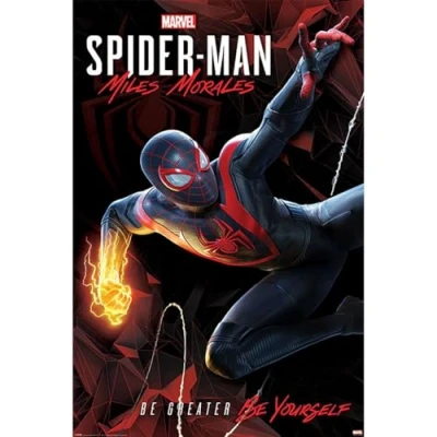 Afbeelding van [Merchandise] Hole In The Wall Spider man Miles Morales Maxi