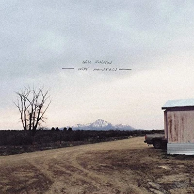 Afbeelding van Will Johnson Wire Mountain (LP)
