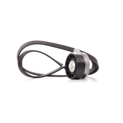 Afbeelding van Poly V riem set DAYCO KPV179