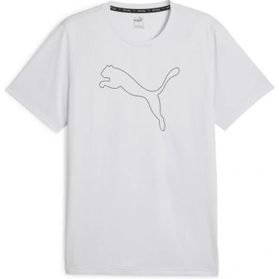 Afbeelding van Puma Performance CAT Sport Tshirt, Heren, Maat: XL, Silver mist