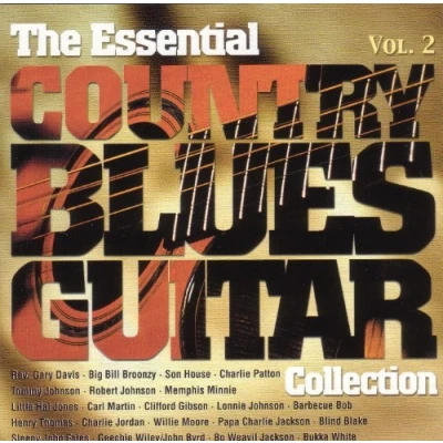 Afbeelding van Various Artists Country Blues Guitar Collection, Vol. 2 (CD)