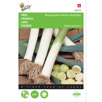 Afbeelding van Prei Blauwgroene Winter, Hiverbleu