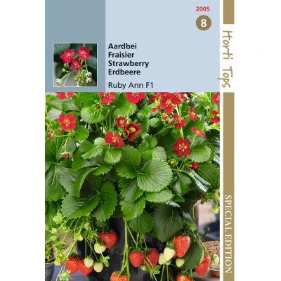 Afbeelding van HTS Aardbeien Ruby Ann F1 (hangaardbei) Hortitops