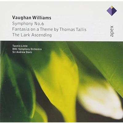 Afbeelding van Symphony 6 Fantasia On A Theme By Thomas Tallis