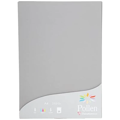 Image de Etui de 25 feuilles Pollen A4 Gris Acier 210g