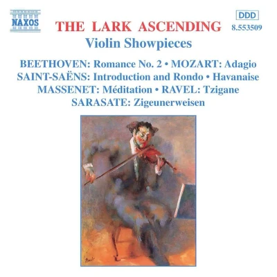 Afbeelding van Various Artists Violin Showpieces (CD)