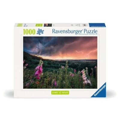 Afbeelding van Legpuzzel Ein Sturm Zieht Auf, 1000st.