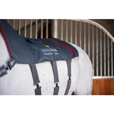 Image de Equilibrium Massage Pad Heatsense Gris Cheval