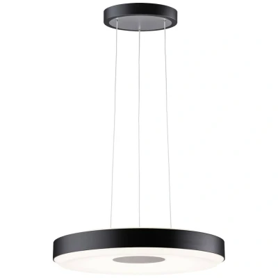 Afbeelding van Paulmann Pane 79779 LED hanglamp 11 W Zwart, Grijs