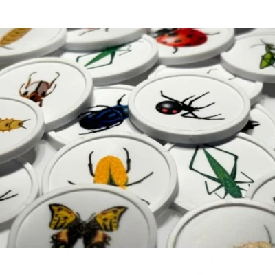 Afbeelding van Memorie spel / Geheugenspel Insecten Basis set (2 x 25 insecten) 50 delig