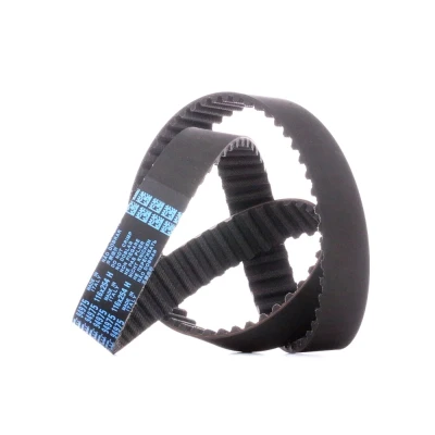Afbeelding van Getande riem DAYCO 94975