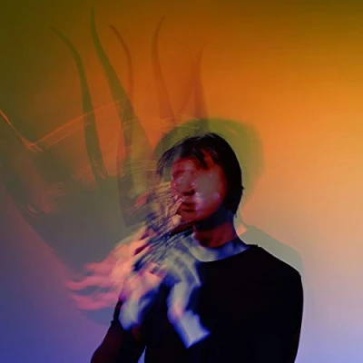 Afbeelding van Lambert False (LP)