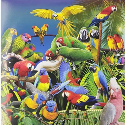 Afbeelding van Jameszoo Guanyin Psittacines (10&quot; LP)