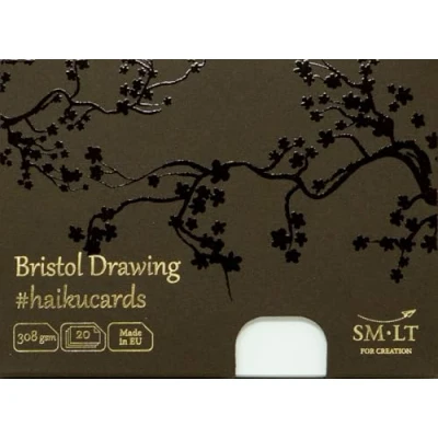 Afbeelding van SMLT Haikukaarten Bristol A6 308gr 20 vel.