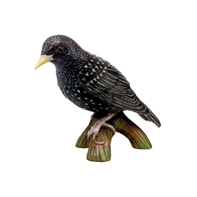 Afbeelding van Goebel Vogels Decoratief beeld / figuur Vogel van het Jaar 2018 Spreeuw II Porselein 10cm
