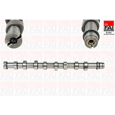 Afbeelding van FAI AutoParts C260 Nokkenas CITROËN: C3 II, FORD: FIESTA 6