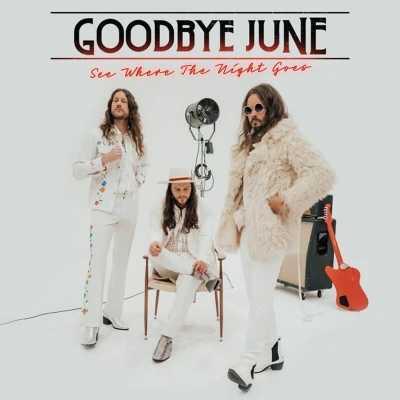 Afbeelding van Goodbye June See Where The Night Goes (CD)