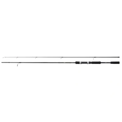 Image de Shimano FX XT 2.70m (10 30g) Spinhengels