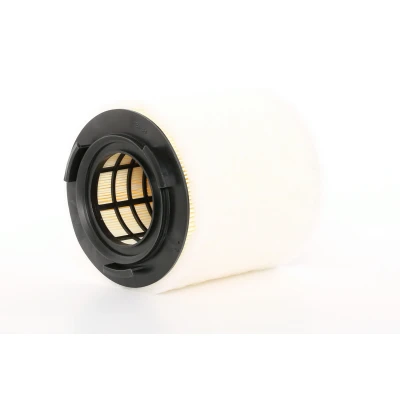 Afbeelding van Bosch Luchtfilter F 026 400 391