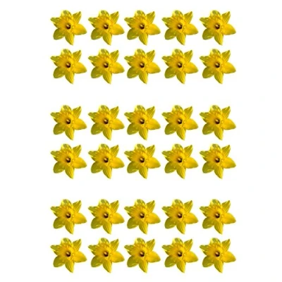 Afbeelding van 30 stuks prachtige gele narcissen van eetbaar papier voor taartdecoratie