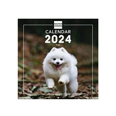 Afbeelding van Finocam, muurkalender 2024, internationale foto&#039;s, januari 2024 december (12 maanden) internationaal, honden