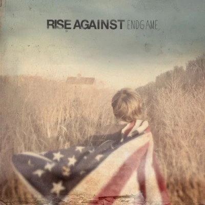 Afbeelding van Rise Against Endgame (LP)