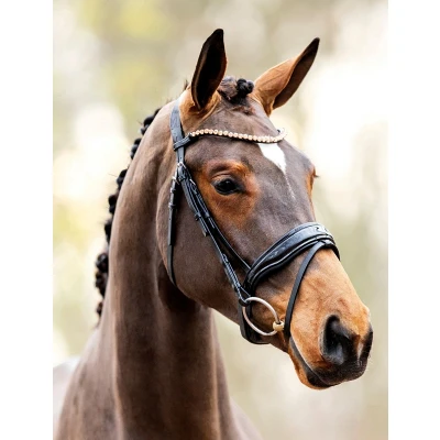 Image de HB Showtime Bride Rose Gold Noir Full